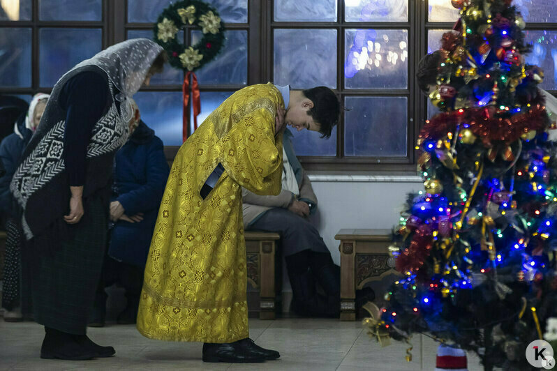 Снежный коллапс и гибель калининградской слонихи Преголи: 16 событий, которые обсуждали в длинные выходные   - Новости Калининграда | Фото: Александр Подгорчук / «Клопс»