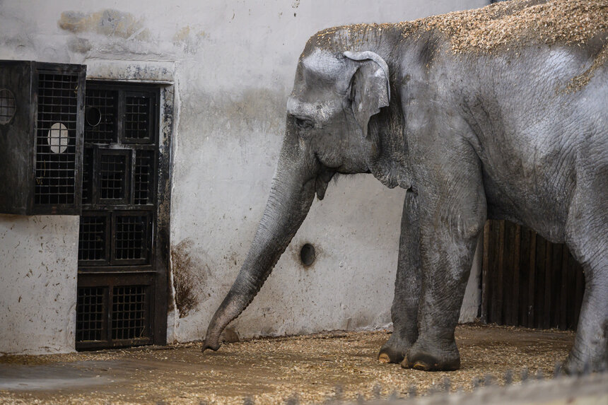 Преголя скончалась 4 января. | Фото: Александр Мелехов