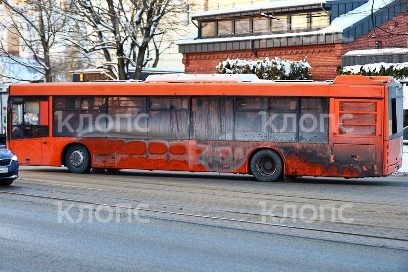 «Просто противно заходить»: в Калининграде новые троллейбусы и автобусы пугают пассажиров (фото) - Новости Калининграда | Фото: «Клопс»