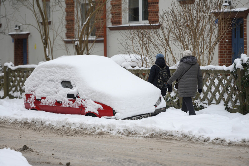 Начало года выдалось по-настоящему зимним | Фото: Александр Мелехов