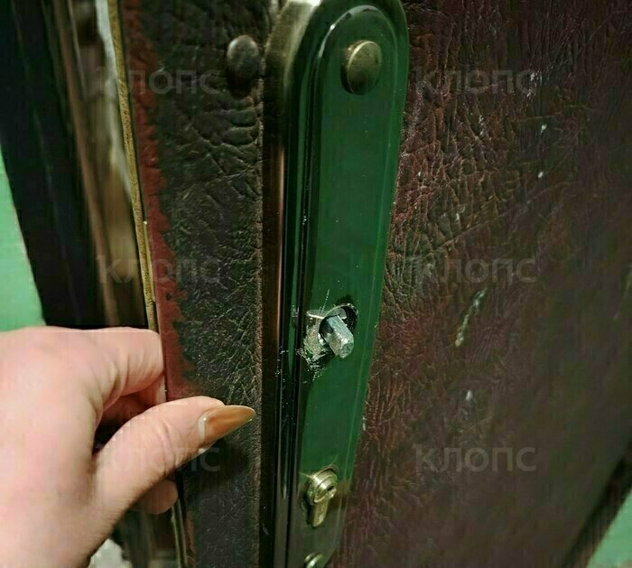 На жительницу Балтийска едва не рухнула люстра во время вечеринки наверху, а в дверь ломился пьяный сосед (видео)   - Новости Калининграда | Фото: Арина