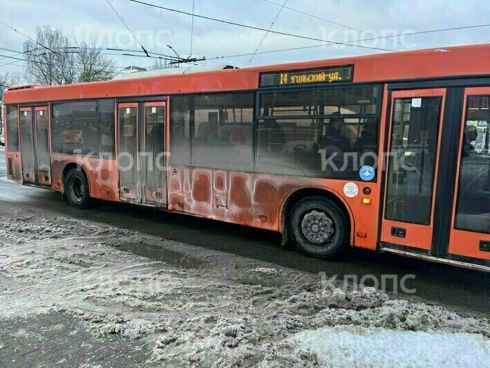 «Просто противно заходить»: в Калининграде новые троллейбусы и автобусы пугают пассажиров (фото) - Новости Калининграда | Фото: «Клопс»