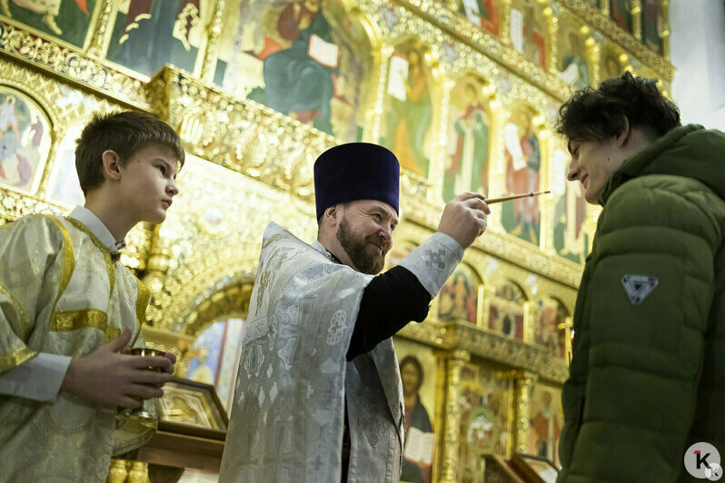 Снежный коллапс и гибель калининградской слонихи Преголи: 16 событий, которые обсуждали в длинные выходные   - Новости Калининграда | Фото: Александр Подгорчук / «Клопс»