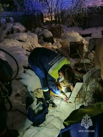 Снежный коллапс и гибель калининградской слонихи Преголи: 16 событий, которые обсуждали в длинные выходные   - Новости Калининграда | Фото: МЧС