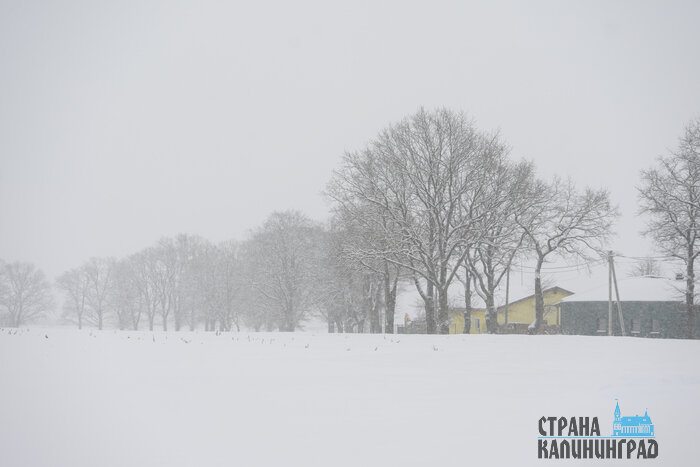 Как на картинах Брейгеля: в новогодние каникулы река Прохладная превратилась в рыбацкий городок