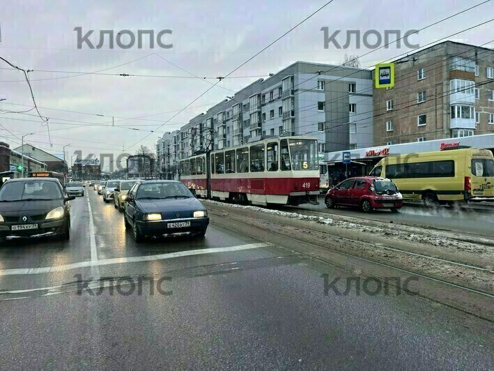 «Просто противно заходить»: в Калининграде новые троллейбусы и автобусы пугают пассажиров (фото) - Новости Калининграда | Фото: «Клопс»