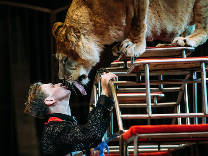 В Калининграде экранизируют историю единственного в мире безногого дрессировщика - Новости Калининграда | Фото: Росгосцирк