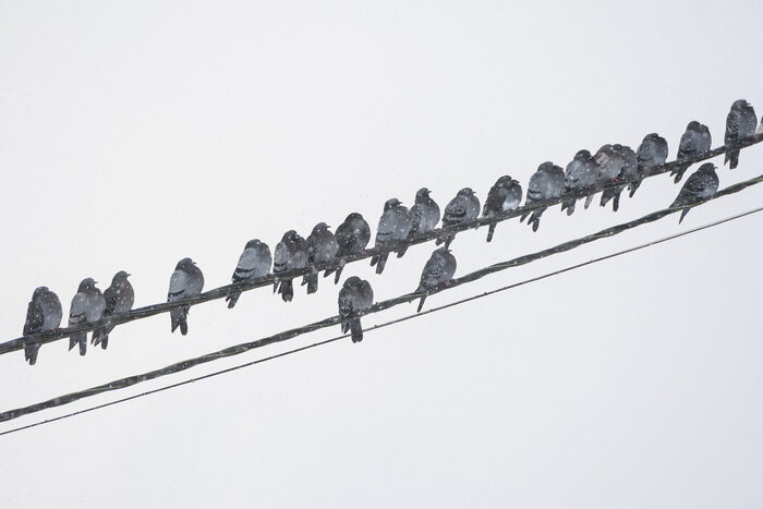 Как на картинах Брейгеля: в новогодние каникулы река Прохладная превратилась в рыбацкий городок