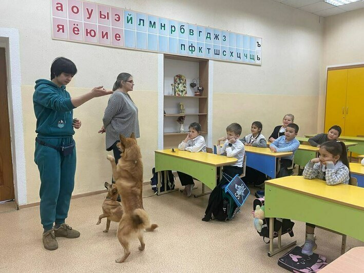 Уроки добра. | Фото: социальные сети РЦБЖ «Славянское»