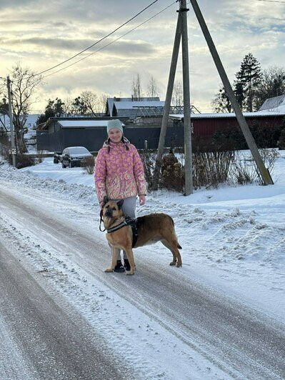 Неравнодушные калининградцы так провели праздники. | Фото: социальные сети РЦБЖ «Славянское»