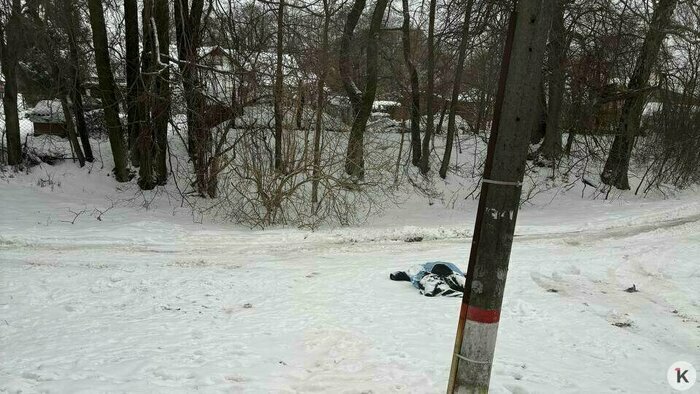 Снежный коллапс и гибель калининградской слонихи Преголи: 16 событий, которые обсуждали в длинные выходные   - Новости Калининграда | Фото: очевидец