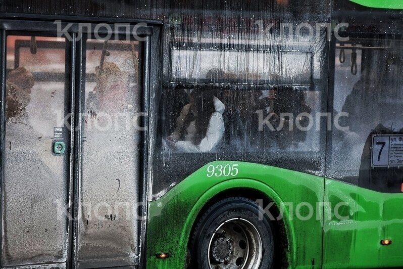 «Просто противно заходить»: в Калининграде новые троллейбусы и автобусы пугают пассажиров (фото) - Новости Калининграда | Фото: «Клопс»