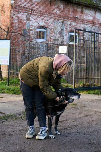 Неравнодушные калининградцы так провели праздники. | Фото: социальные сети РЦБЖ «Славянское»
