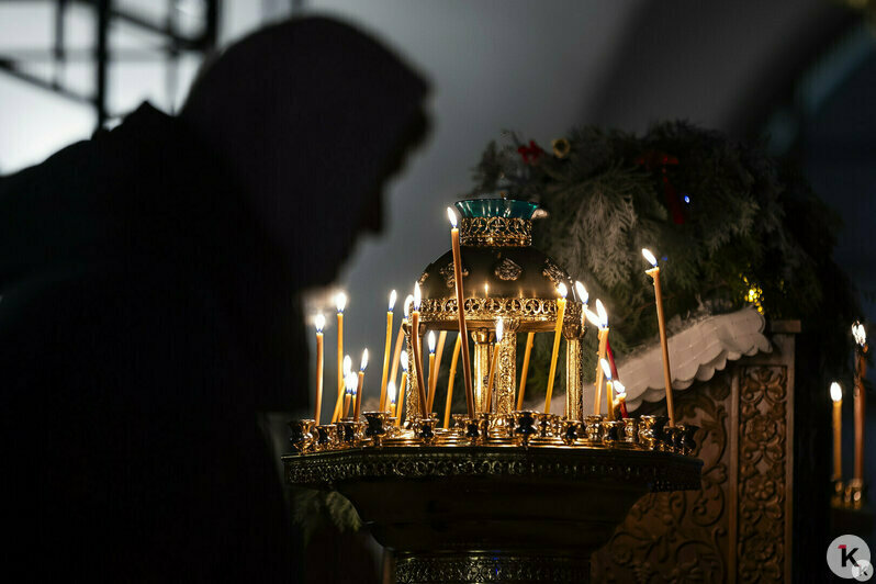 Снежный коллапс и гибель калининградской слонихи Преголи: 16 событий, которые обсуждали в длинные выходные   - Новости Калининграда | Фото: Александр Подгорчук / «Клопс»