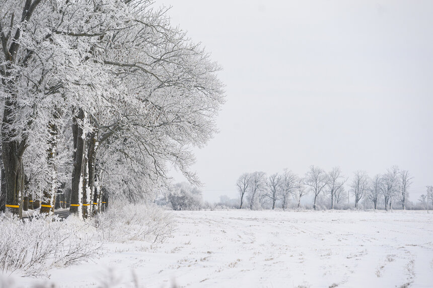 Зима в этом году в Калининграде холоднее предыдущей - снег и морозы. | Фото: Александр Мелехов