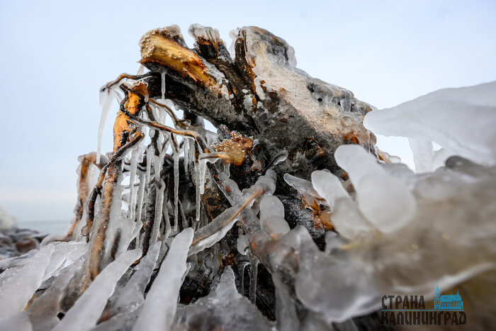 Ледяная Балтика: как мороз украсил побережье (фото)