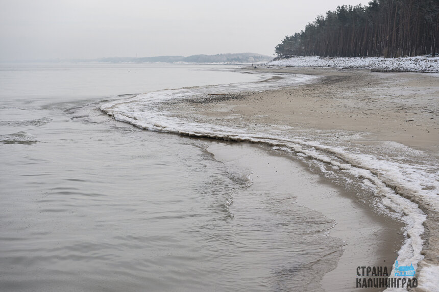 Пляж в районе поселка Куликово.