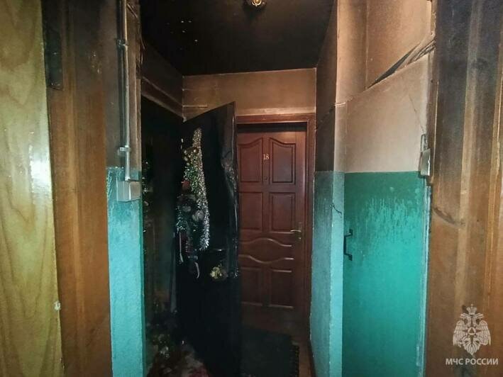 В гусевской многоэтажке загорелись диван и ветошь в квартире, погибла женщина - Новости Калининграда | Фото: МЧС региона