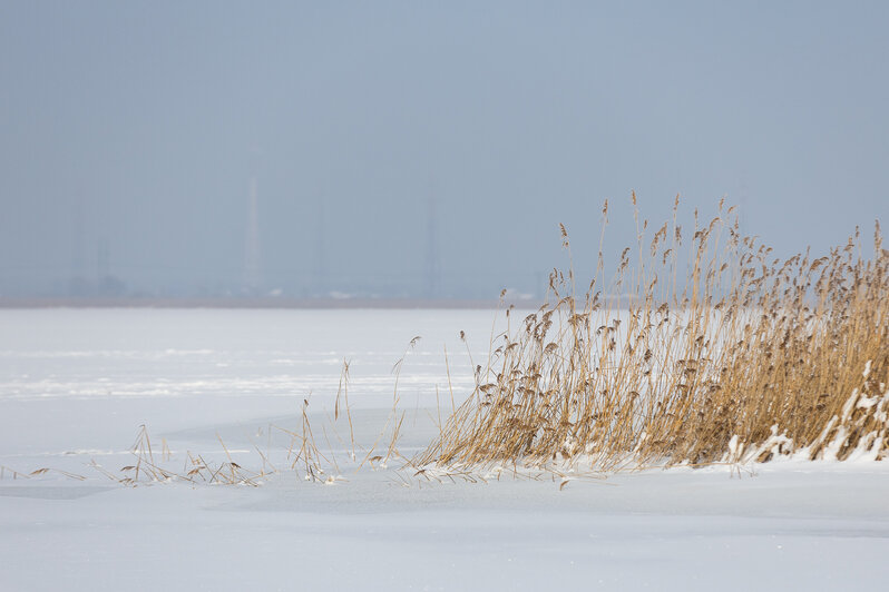 Безопасные 15 сантиметров: как в Калининграде следят за толщиной льда (фоторепортаж)  - Новости Калининграда | Фото: Александр Подгорчук / «Клопс»