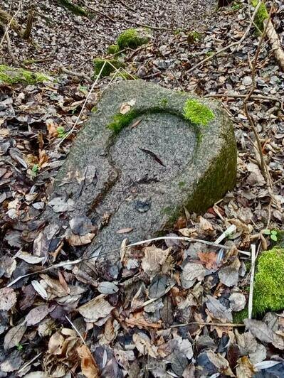 В Зеленоградском районе нашли загадочный каменный объект на месте старинной усадьбы (фото) - Новости Калининграда | Фото: канал «Кирха Рудау. Парк-музей» / Telegram