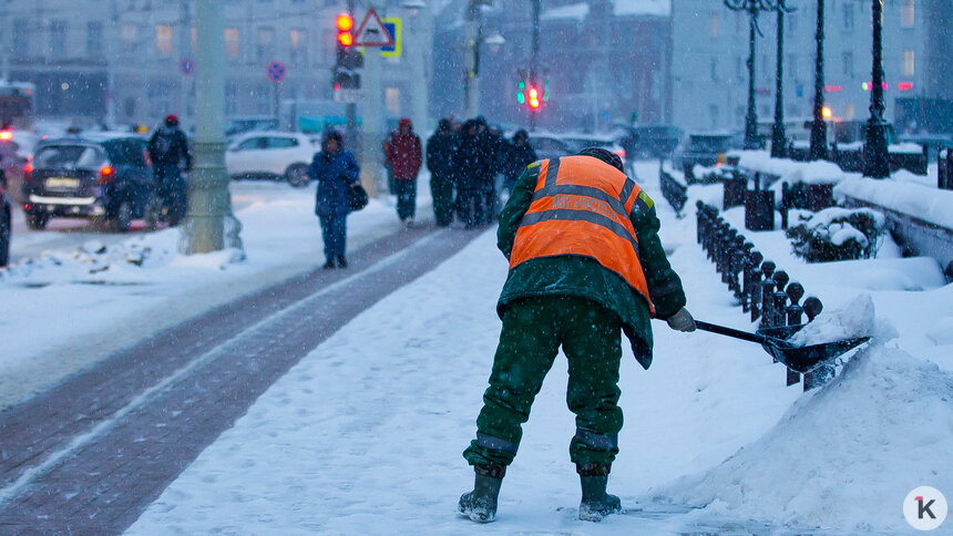 «Губернатор дал приказ — чистить снег не напоказ»: музыкальный дайджест калининградских новостей за неделю (видео)   - Новости Калининграда | Фото: Александр Подгорчук / «Клопс»
