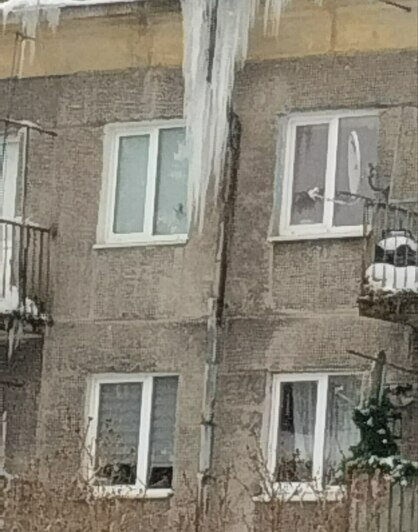 Сосульки красивые, но опасные: где в Калининграде нужно ходить, посматривая наверх (фото)   - Новости Калининграда | Фото: Татьяна