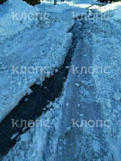 В посёлке под Зеленоградском из-за утечки воды появился стихийный каток, которому местные не обрадовались (фото) - Новости Калининграда | Фото: очевидцы