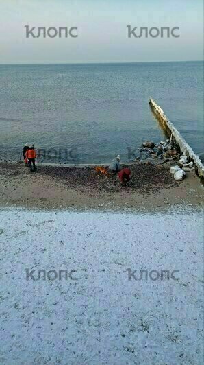 «Русалочка наколдовала»: на побережье Калининградской области нашли ещё один янтарный Клондайк (фото) - Новости Калининграда | Фото: очевидцы