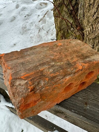 Под Зеленоградском нашли средневековый кирпич с мистическими следами, о происхождении которых спорят учёные (фото)   - Новости Калининграда | Фото: сообщество Кирха Рудау. Парк-Музей ВКонтакте