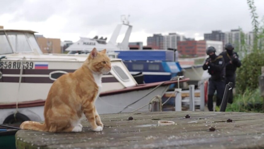 СОБР на Балтике: стоит ли смотреть сериал про спецназ, снятый в Калининградской области  - Новости Калининграда | Кадр из сериала «Наш спецназ»