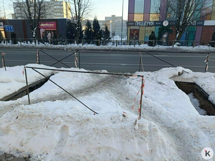 В Калининграде пассажирам приходится выходить в сугробы (фото)  - Новости Калининграда | Фото Юрате Пилюте