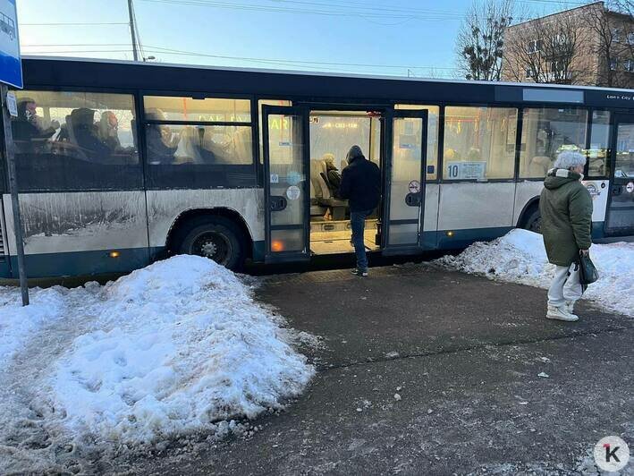 В Калининграде пассажирам приходится выходить в сугробы (фото)  - Новости Калининграда | Фото: «Клопс»
