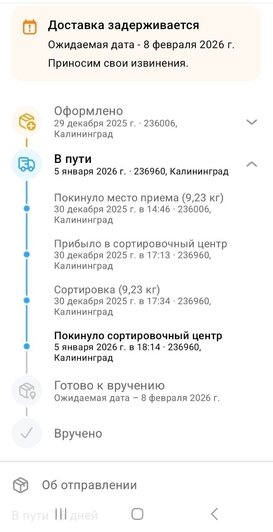 Результаты отслеживания посылки по трек-коду. | Скриншоты: Ирина Лещчинскас
