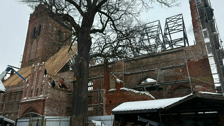 Пьяное ДТП под Калининградом и сюрпризы холодной зимы: 6 событий, которые обсуждали в выходные   - Новости Калининграда | Фото: Маргарита Пырко