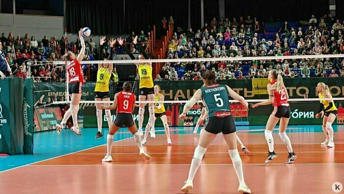 Пьяное ДТП под Калининградом и сюрпризы холодной зимы: 6 событий, которые обсуждали в выходные   - Новости Калининграда | Фото: «Клопс»