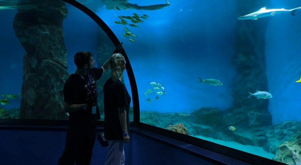 Туннельный аквариум