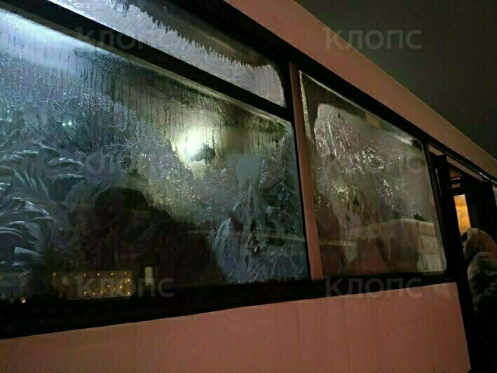 Калининградка пропустила остановку из-за инея на окнах внутри автобуса (видео)  - Новости Калининграда | Фото: «Клопс»