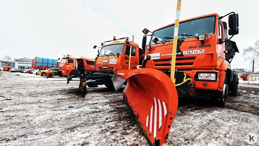 Власти Калининграда объяснили, почему не держат про запас много техники и дворников  - Новости Калининграда | Фото: Александр Подгорчук / «Клопс»
