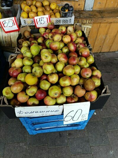 На грани разорения, перга и трое штанов: как выживают уличные продавцы в калининградские морозы (фото, видео) - Новости Калининграда | Фото: «Клопс»