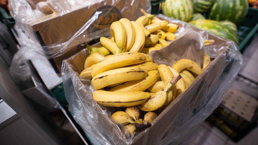 В Россельхознадзоре рассказали, сколько бананов в 2025 году съели калининградцы - Новости Калининграда | Фото: Александр Подгорчук / Архив «Клопс»