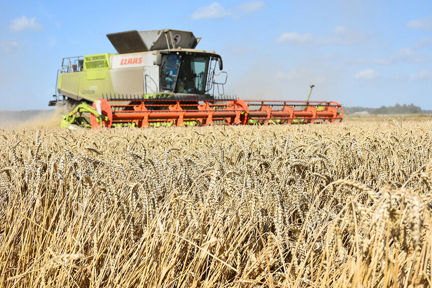 Калининградские аграрии собрали 805 тысяч тонн зерновых и зернобобовых | Фото: пресс-служба правительства Калининградской области