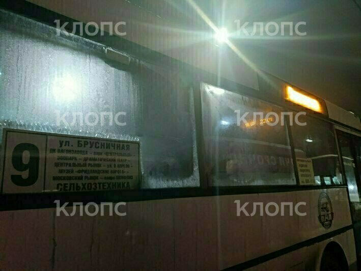 Калининградка пропустила остановку из-за инея на окнах внутри автобуса (видео)  - Новости Калининграда | Фото: «Клопс»