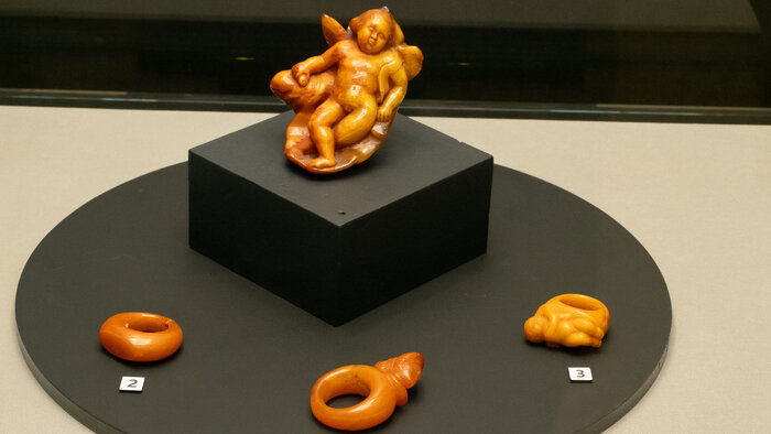 Спящий Амур предстал перед гостями и намекнул на обновление экспозиции в калининградском Музее янтаря (фото) - Новости Калининграда | Фото: Музея янтаря