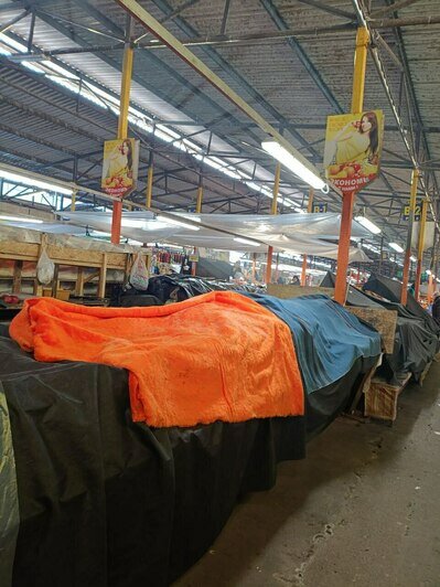 «Выживаем в трёх куртках»: на калининградском Центральном рынке из-за морозов не продают фрукты и овощи (фото)   - Новости Калининграда | Фото: «Клопс»