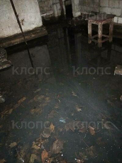 «Живём как в общественном туалете»: дом на Пионерской в Калининграде страдает от фекалий в подвале (видео)   - Новости Калининграда | Фото: очевидцы