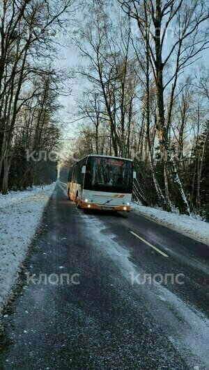 На Куршской косе машины рыбаков не дают автобусам доехать до остановки в Морском (фото)   - Новости Калининграда | Фото: «Клопс»