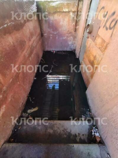 «Живём как в общественном туалете»: дом на Пионерской в Калининграде страдает от фекалий в подвале (видео)   - Новости Калининграда | Фото: очевидцы