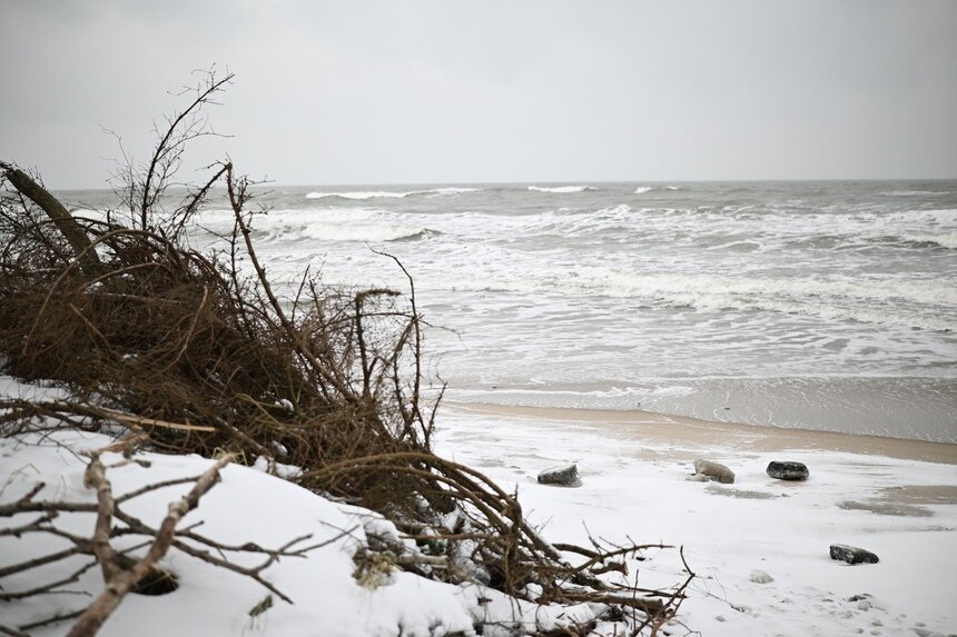 Область окажется на периферии сибирского антициклона | Фото: Софья Шарипова