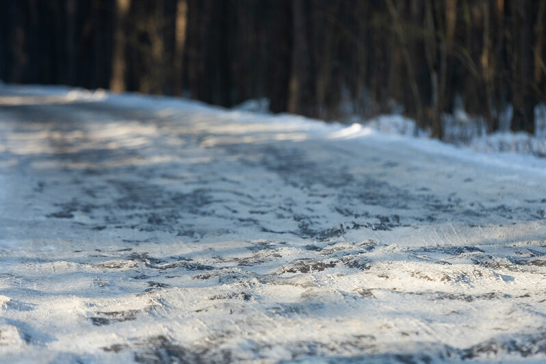 Коса без Калины: как живёт нацпарк, директора которого обвиняют в незаконной вырубке (фото)   - Новости Калининграда | Фото: Александр Подгорчук / «Клопс»