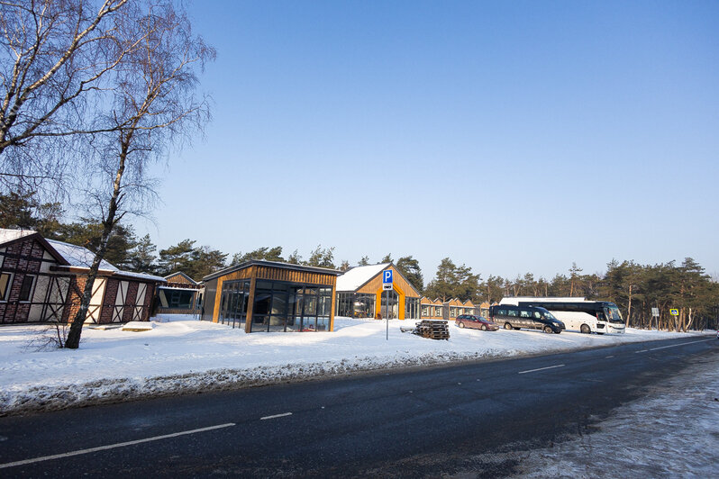 Коса без Калины: как живёт нацпарк, директора которого обвиняют в незаконной вырубке (фото)   - Новости Калининграда | Фото: Александр Подгорчук / «Клопс»